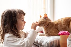 Child gently touching a cat resting on a cushion indoors.