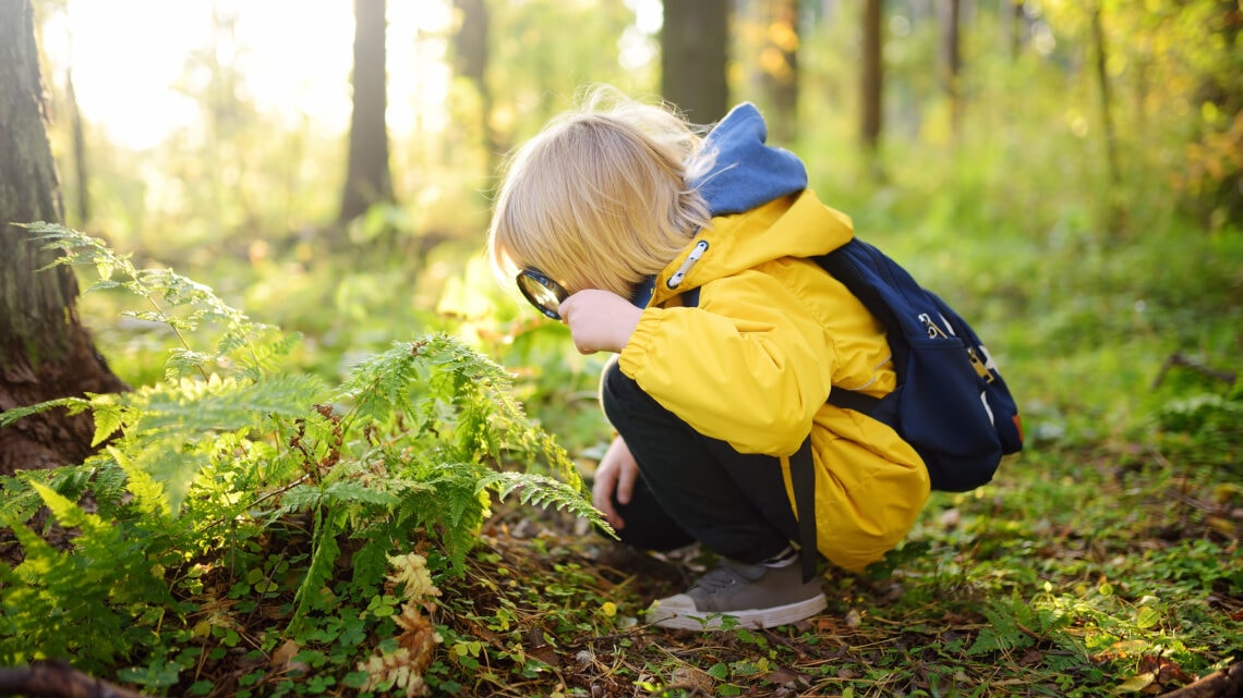 A child uses a magnifying glass to look at a plant