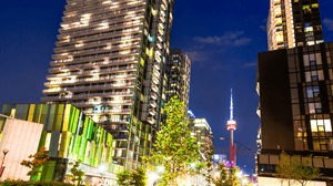 Downtown city skyline at night with illuminated residential towers and the CN Tower visible in the background.