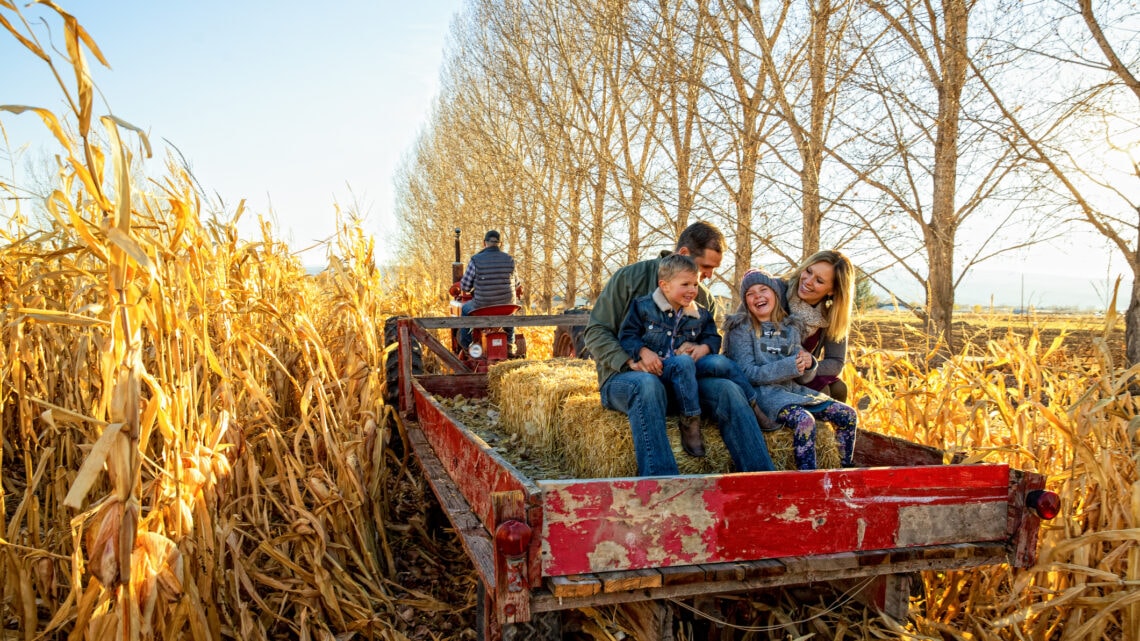A man, woman, and two children ride in the back of a wagon in a hay field